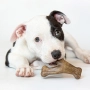 Купить Dental Chew/Wishbone Bacon 2-Pack Tiny Puppy Набор из двух жевательных игрушек для щенков