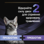 Купить FortiFlora Plus Пробиотик с пребиотиком для взрослых кошек и котят