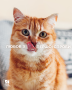 Кипити PD Feline K/D Salmon з ActivBiome+ Kidney Defense Сухий корм з лососем для підтримання функції нирок у котів