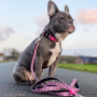 Купить Multi-Function Leash Leopard Pink Поводок для собак