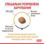 Купить Pomeranian Adult - сухой корм для взрослых собак породы Шпиц (от 8 месяцев)