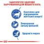 Кипити Indoor 7+ Сухий корм для дорослих котів віком від 7 до 12 років, які проживають у приміщенні