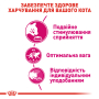 Купить Exigent Savour - сухой корм для привередливых кошек особо чувствительных к вкусу рациона (от 12 месяцев)