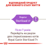 Купить Sterilised 37 - сухой корм для стерилизованных кошек (от 12 месяцев)