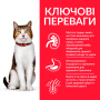 Купить SP Feline Mature Аdult 7+ Chicken Сухой корм с курицей для кошек