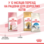 Кипити Kitten Sterilised - сухий корм для стерилізованих кошенят (від 6 до 12 місяців)