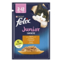Купить Fantastic Junior с курицей в желе для котят