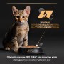 Купить Kitten Healthy Start Паштет с курицей для котят