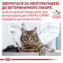 Купить Gastrointestinal - диетический сухой корм для кошек при расстройствах пищеварения