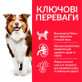 Купить SP Canine Mature Adult 7+ Medium Breed Chicken Сухой корм с курицей для пожилых собак средних пород старше 7 лет