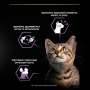 Кипити Kitten Healthy Start Turkey Шматочки в паштеті з індичкою для кошенят