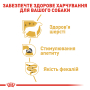 Купить Yorkshire Terrier Adult Влажный корм для собак породы йоркширский терьер старше 10-и месяцев