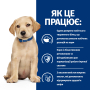 Купить PD Canine Derm Complete Puppy Диетический сухой корм с рисом и яйцом для щенков при пищевой аллергии и атопическом дерматите