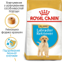 Кипити Labrador Retriever Puppy - сухий корм для цуценят породи Лабрадор-ретривер (від 2 до 15 місяців)