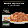 Купить Sterilised Adult Набор консервированного корма для взрослых стерилизованных кошек