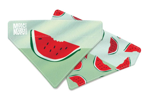 Bandana Watermelon Бандана для собак на ошейник