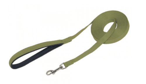Flat Leash Поводок для собак с классическим карабином и ручкой на подкладке, зеленый