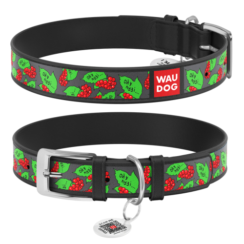 WAUDOG Design "Калина" Ошейник для собак, кожаный