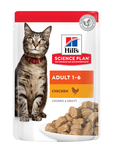 SP Feline Adult Chicken Вологий корм для дорослих котів, з куркою