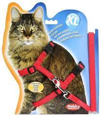 Set Big Cat Harness Шлея-восьмерка с поводком для больших кошек, красный