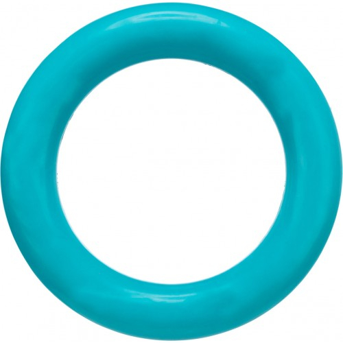 Ring - игрушка для собак, кольцо литое