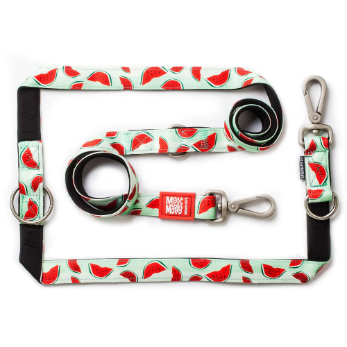 Multi-Function Leash Watermelon Поводок для собак