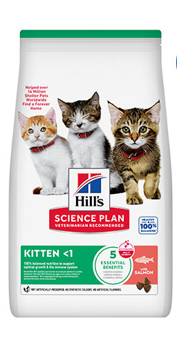 Science Plan Kitten with Salmon ActivBiome+ Сухой корм с лососем для котят и кошек в период беременности и кормления грудью