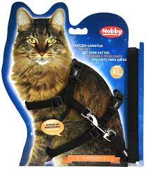 Set Big Cat Harness Шлея-восьмерка с поводком для больших кошек, черный