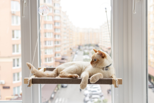 Гамак white+beige на окно для кота