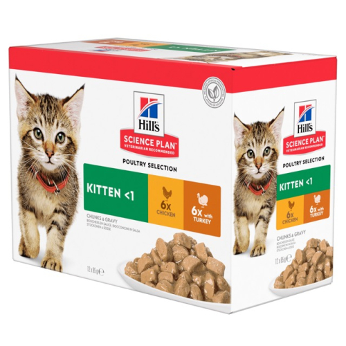 SP Kitten Набір вологого корму для кошенят і кішок у період вагітності та лактації, з куркою та з індичкою