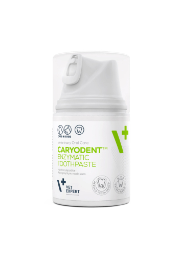 Caryodent Энзимная зубная паста