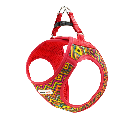 Red-multicolor Шлея для собак