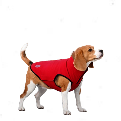 Softshell Ostin Red Жилет для собак