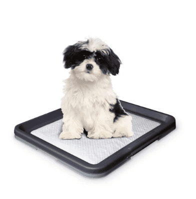 Doggy Trainer Туалет для собак