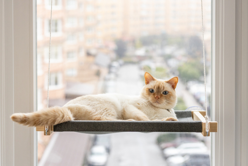 Гамак white+gray на окно для кота