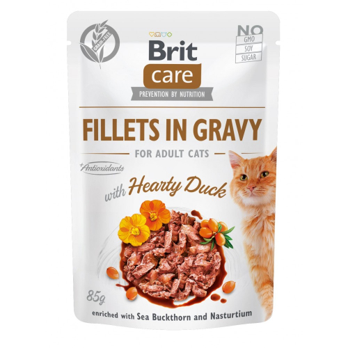 Cat Fillets In Gravy with Hearty Duck Вологий корм з качкою та куркою для котів