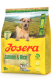 Купить Senior Plus - сухой корм с лососем для пожилых собак