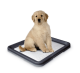 Кипити Doggy Trainer Туалет для собак