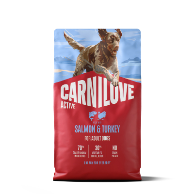 Active Salmon & Turkey Сухой корм с лососем и индейкой для собак