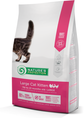 Large cat Kitten Сухий корм для кошенят великих порід