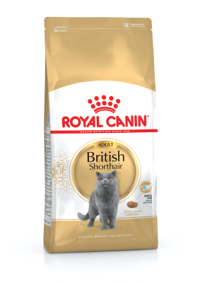 British Shorthair Adult - сухий корм для котів породи британська короткошерста (від 12 місяців)