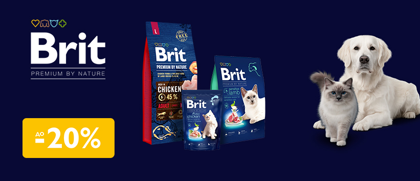 Крутые скидки на Brit Premium!