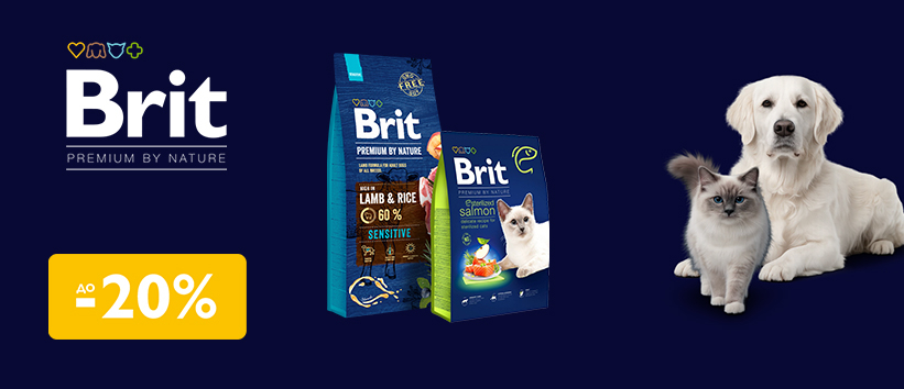 Круті знижки на Brit Premium!