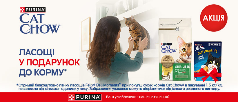 Дарим лакомство для кошек!