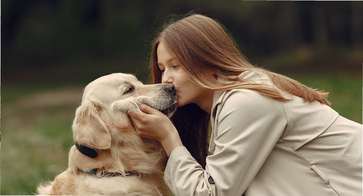Партнер Petslike