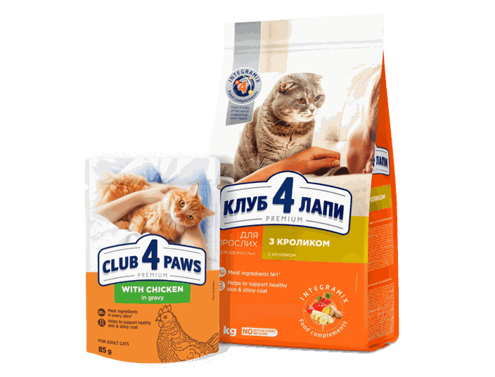 Club 4 Paws