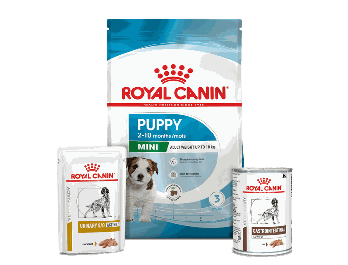 Royal Canin