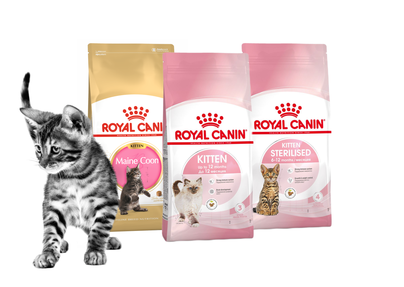 Сухой корм Royal Canin для кошек